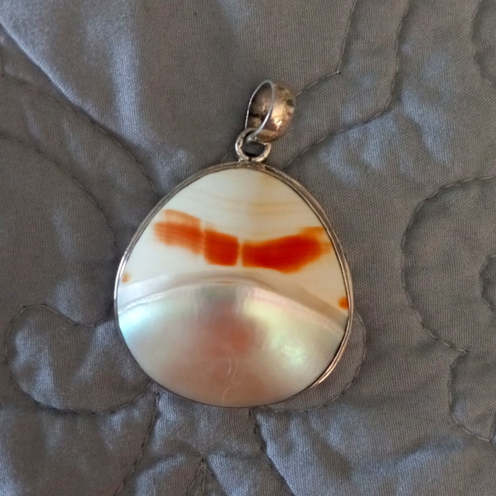 Ammonite And Labradorite Fossil Pendent In Sterli… - image 1